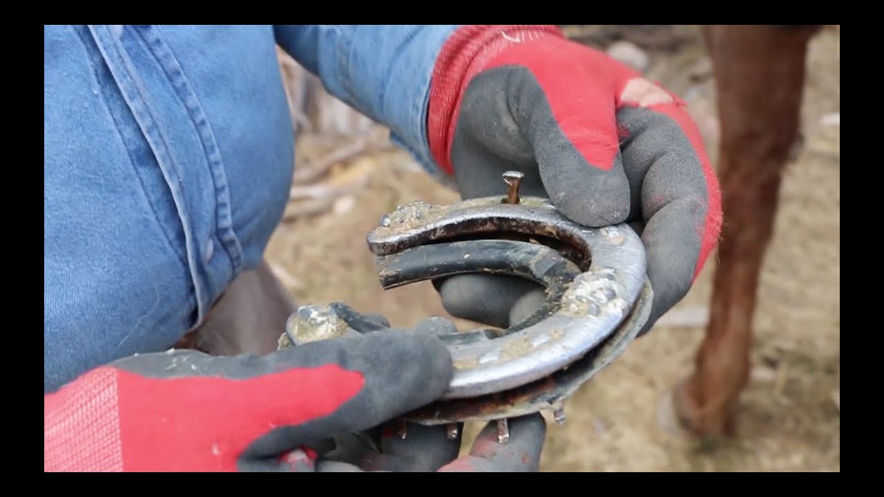 Pulling Carbide Shoes on Mustang Sally - RJF