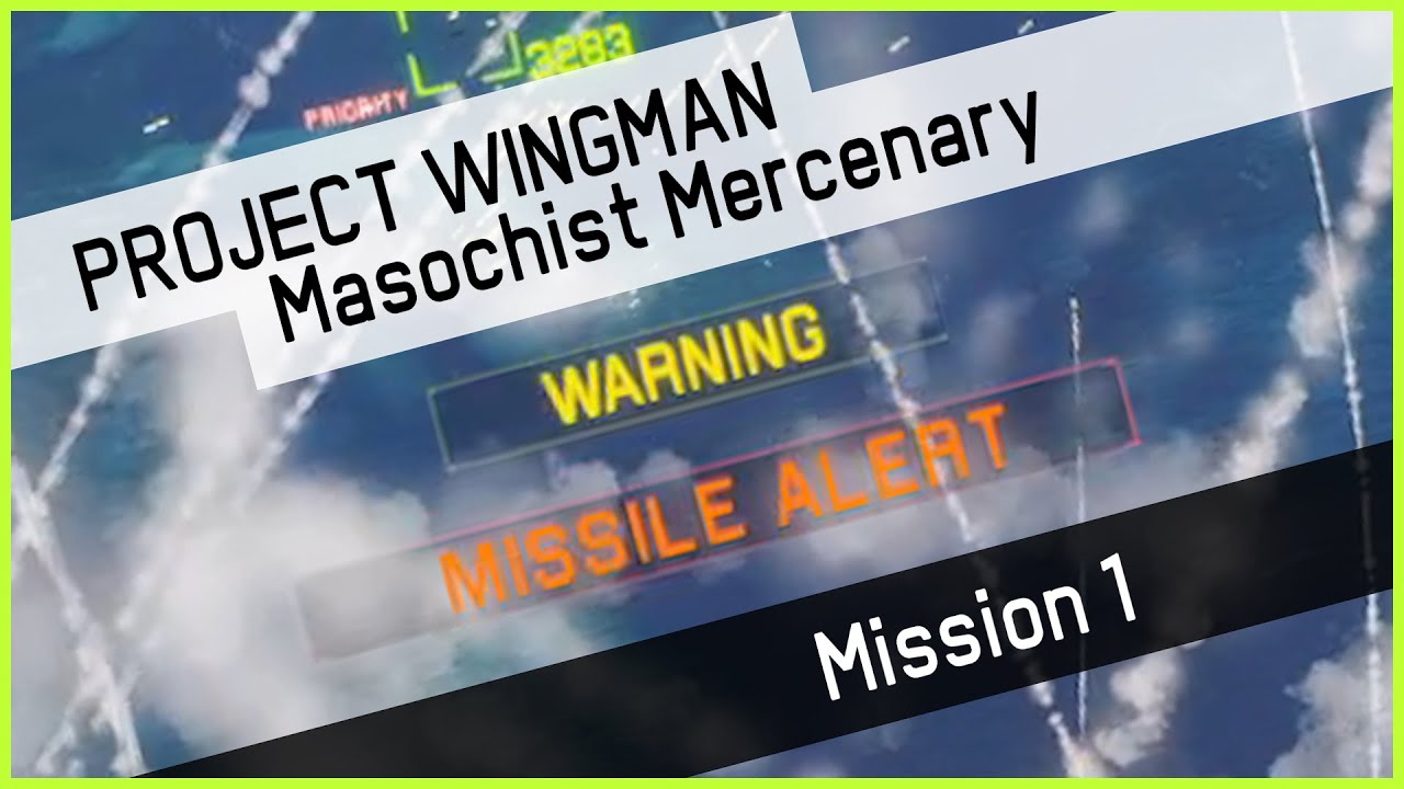 Project Wingman - Mission 1 but it's now a bullet hell game