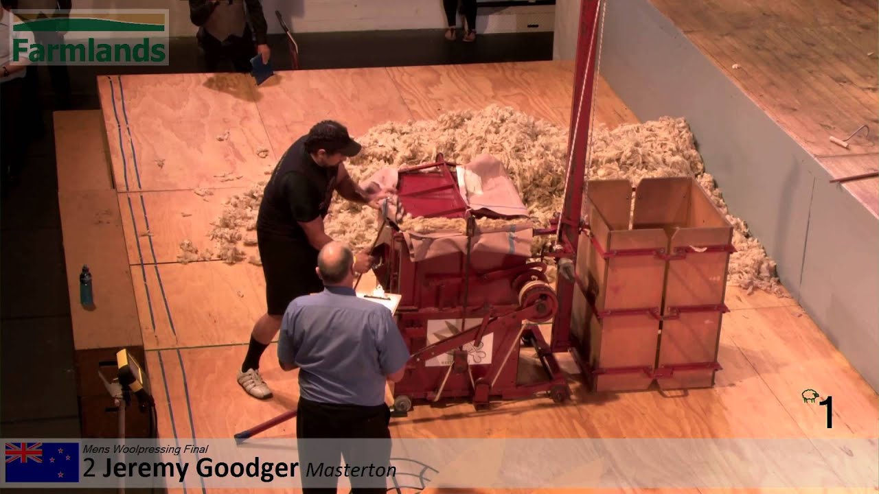 Mens Pressing Final (Farmlands & Woolpacks NZ) - 2015 Golden Shears