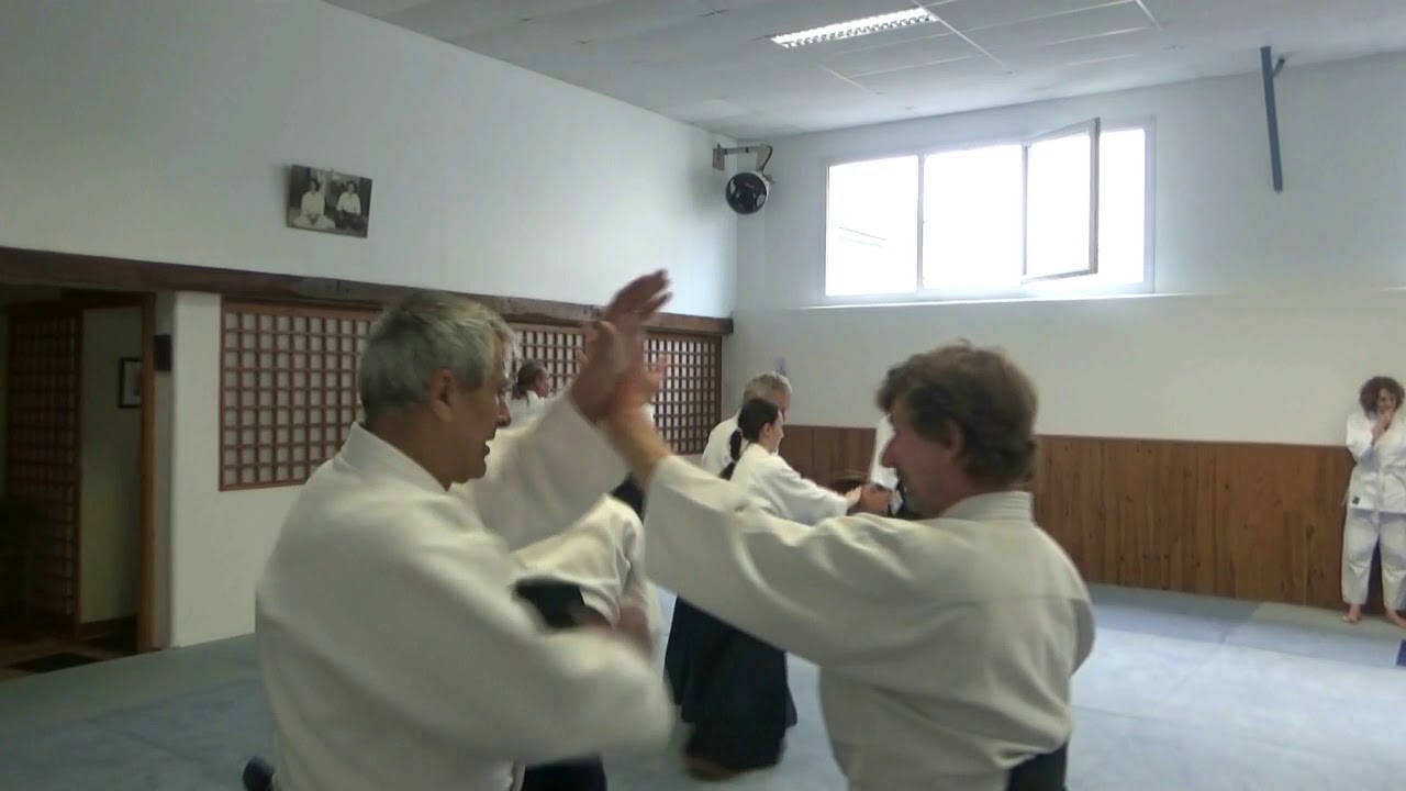 Richard Duffours Aïkido Stage de Ligue au Dojo René VDB 14 avril 2018
