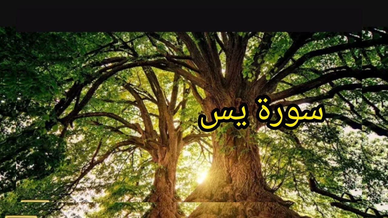 تلاوة خاشعة! سورة يس ،،،،(بصوت شيخ ياسر الدوسري)ا