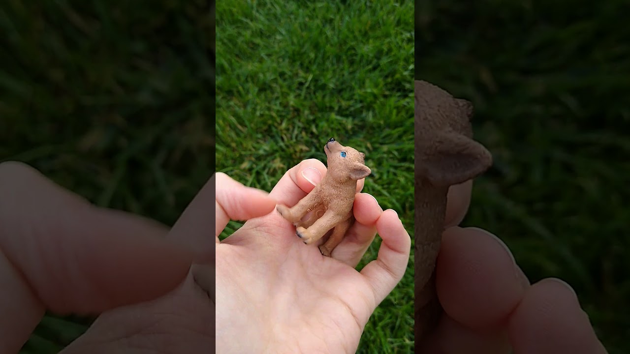 Moja kolekcja figurek wilków 😁