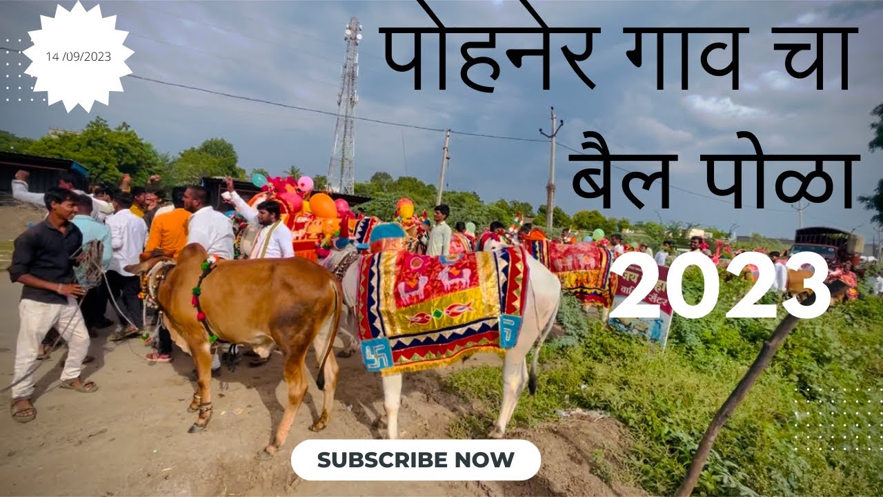 नाद नाय  करायचा | Nad Naay Karaycha Sarja Rajacha - DJ bail pola video 2023