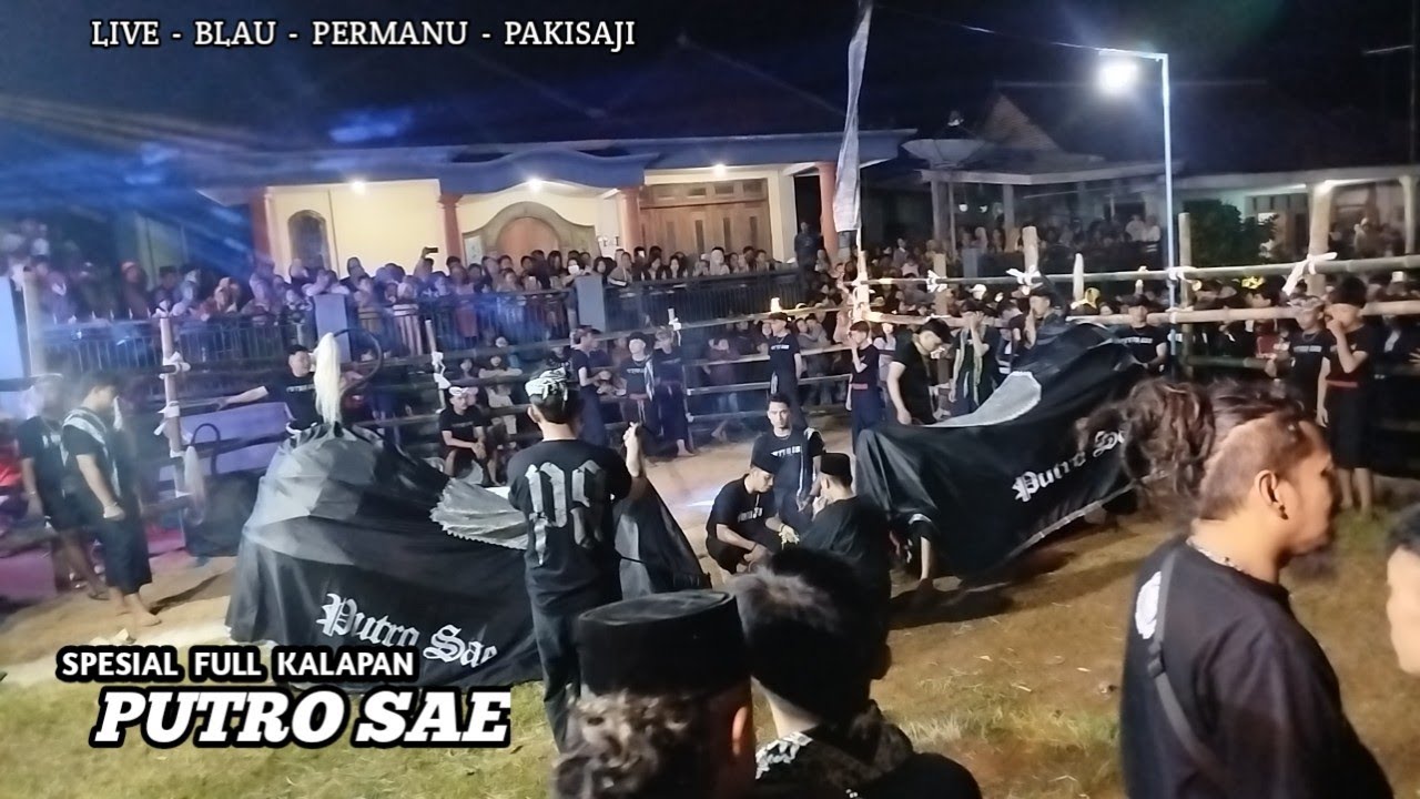 Hampir Ricuh ❗Kalapan Beringas PUTRO SAE❗Live Blau Kidul Permanu pakisaji