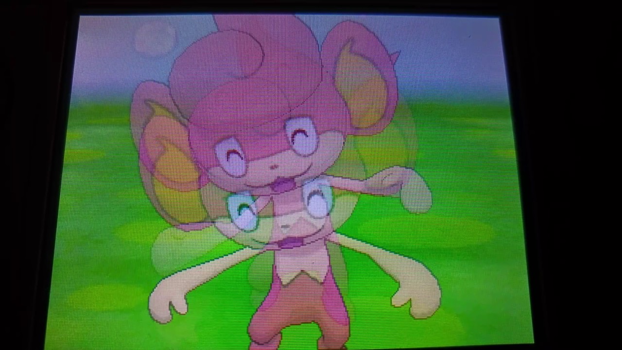 Pokémon Amie: Pansage, Pansear and Panpour