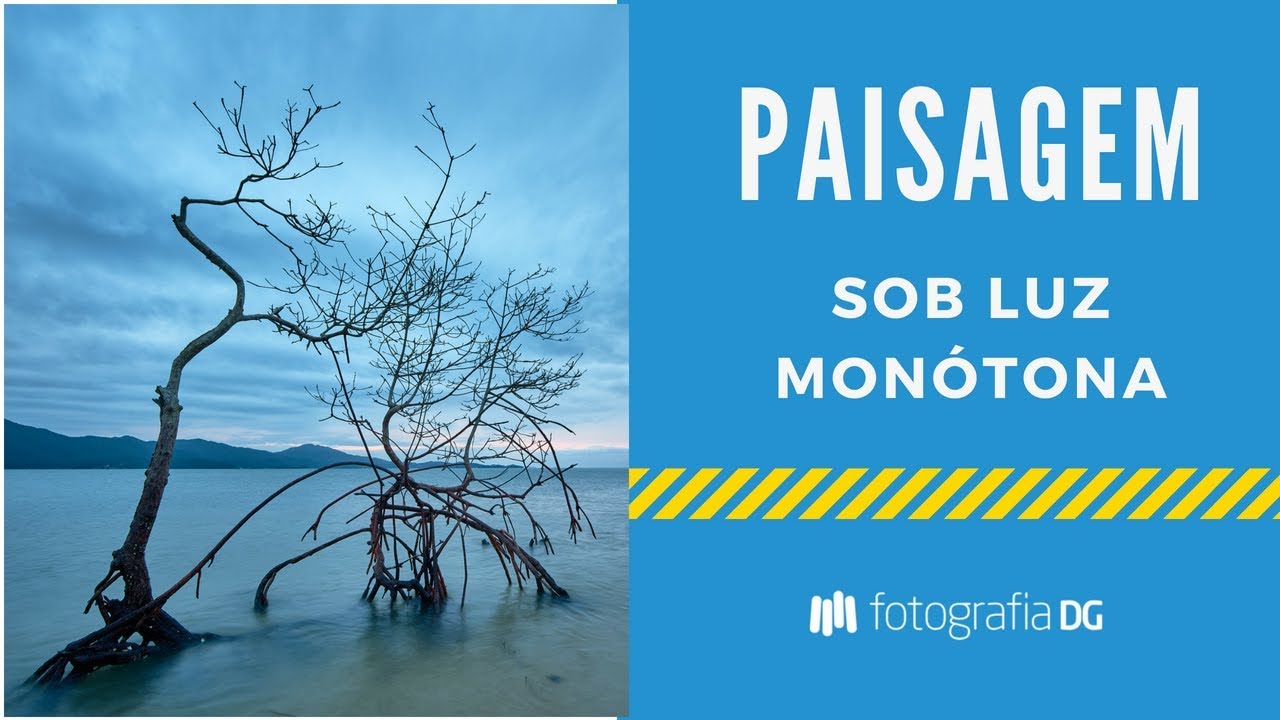 Primeira foto com a Sony A7 III - FOTOGRAFIA DE PAISAGEM dinâmica sob LUZ MONÓTONA