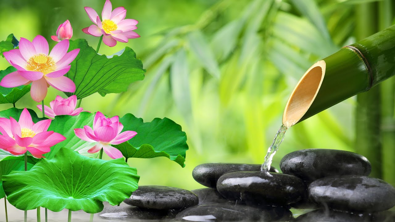 Nhạc thư gi&atilde;n trị liệu - Nhạc kh&ocirc;ng lời Yoga, Spa gi&uacute;p tinh thần lu&ocirc;n sảng kho&aacute;i, chữa bệnh #9