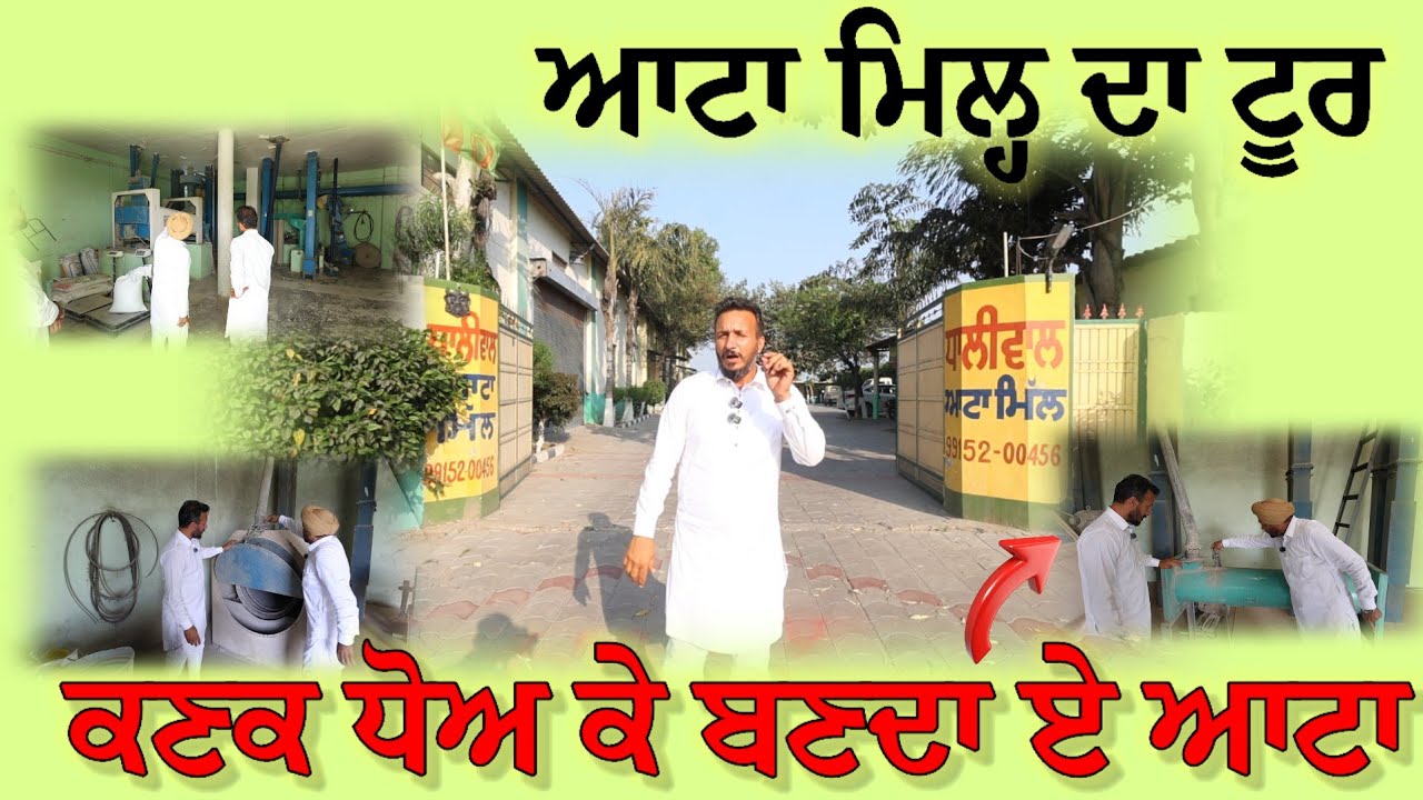 ਕਿਸੇ ਨੇ ਆਟਾ ਮਿਲ੍ਹ ਲਾਉਣੀ ਹੋਵੇ ਤਾਂ ਆ ਮਿਲ੍ਹ ਜਰੂਰ ਦੇਖੋ ਕਿਵੇਂ ਕਣਕ ਧੋ ਕੇ ਆਟਾ ਬਣਦਾ ਏ 