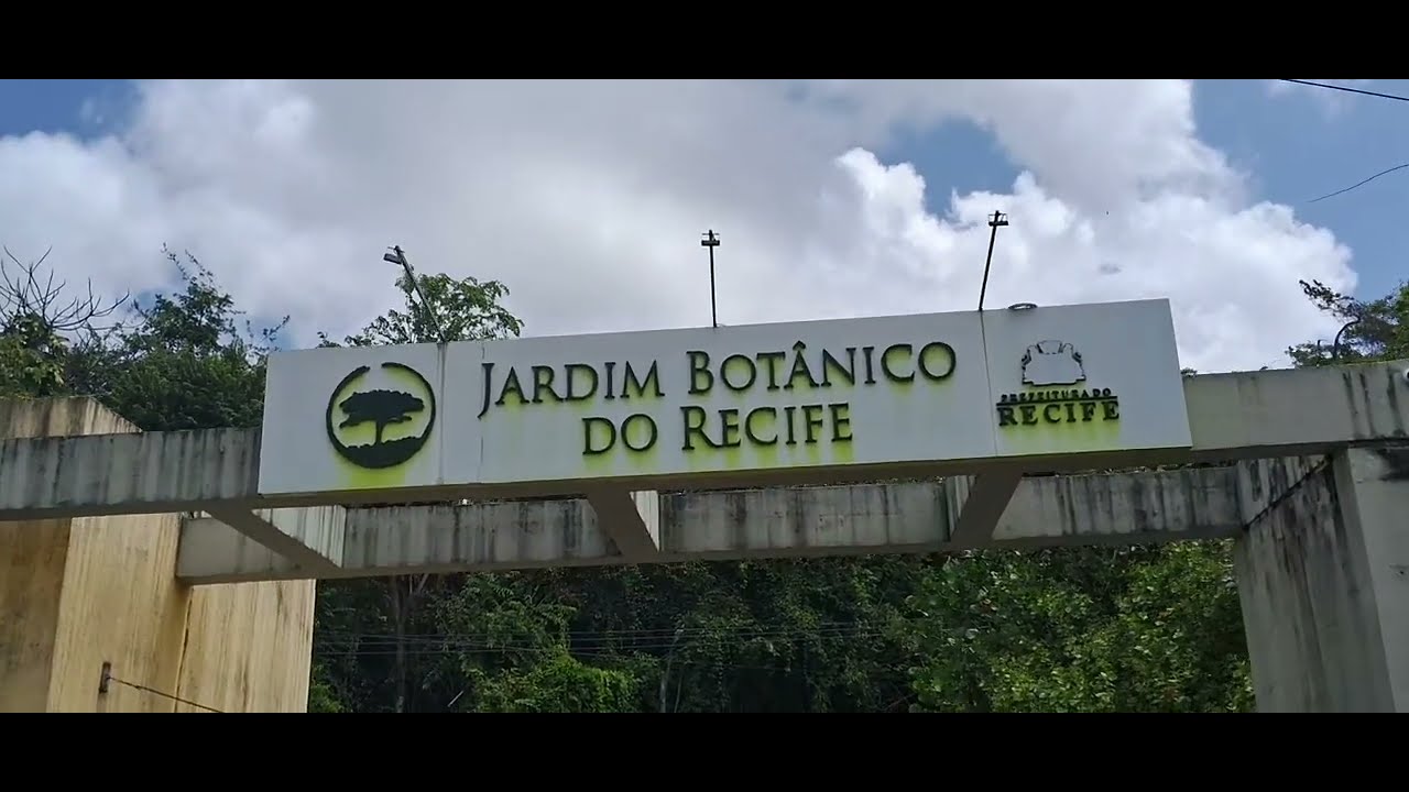 Como é belíssimo o Jardim Botânico do Recife/PE