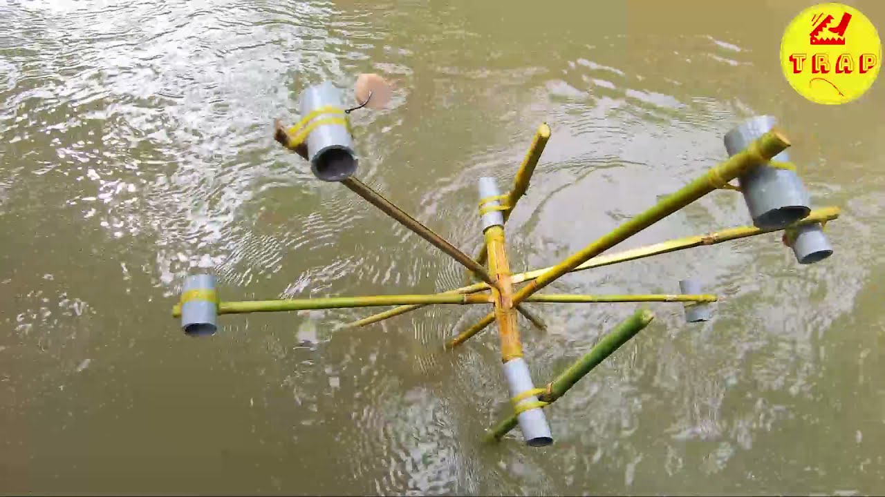 Top 1 best fish traps Simple but effective fish trap tips . automatic fishing hook