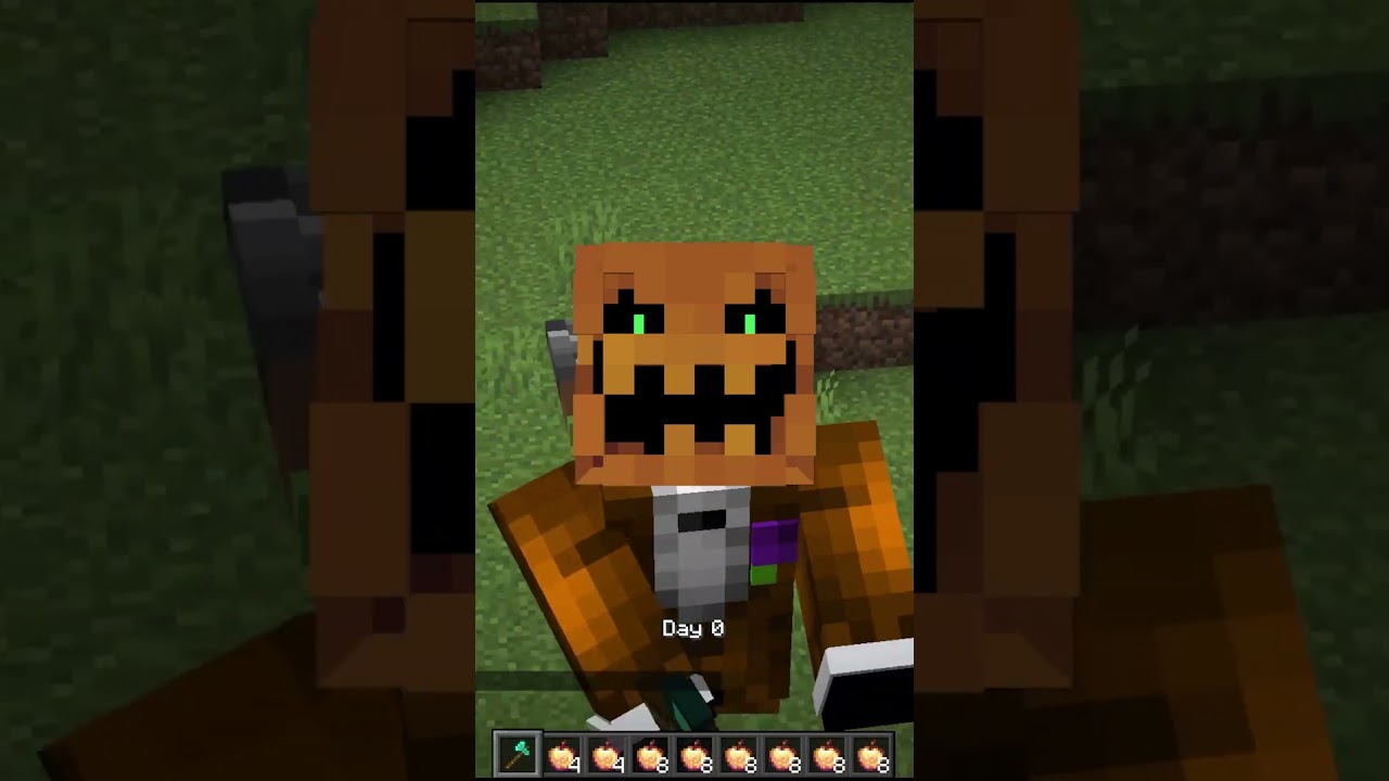 Minecraft Invisible Door Trick!  #minecraft #tamil #wizardcrafttamil