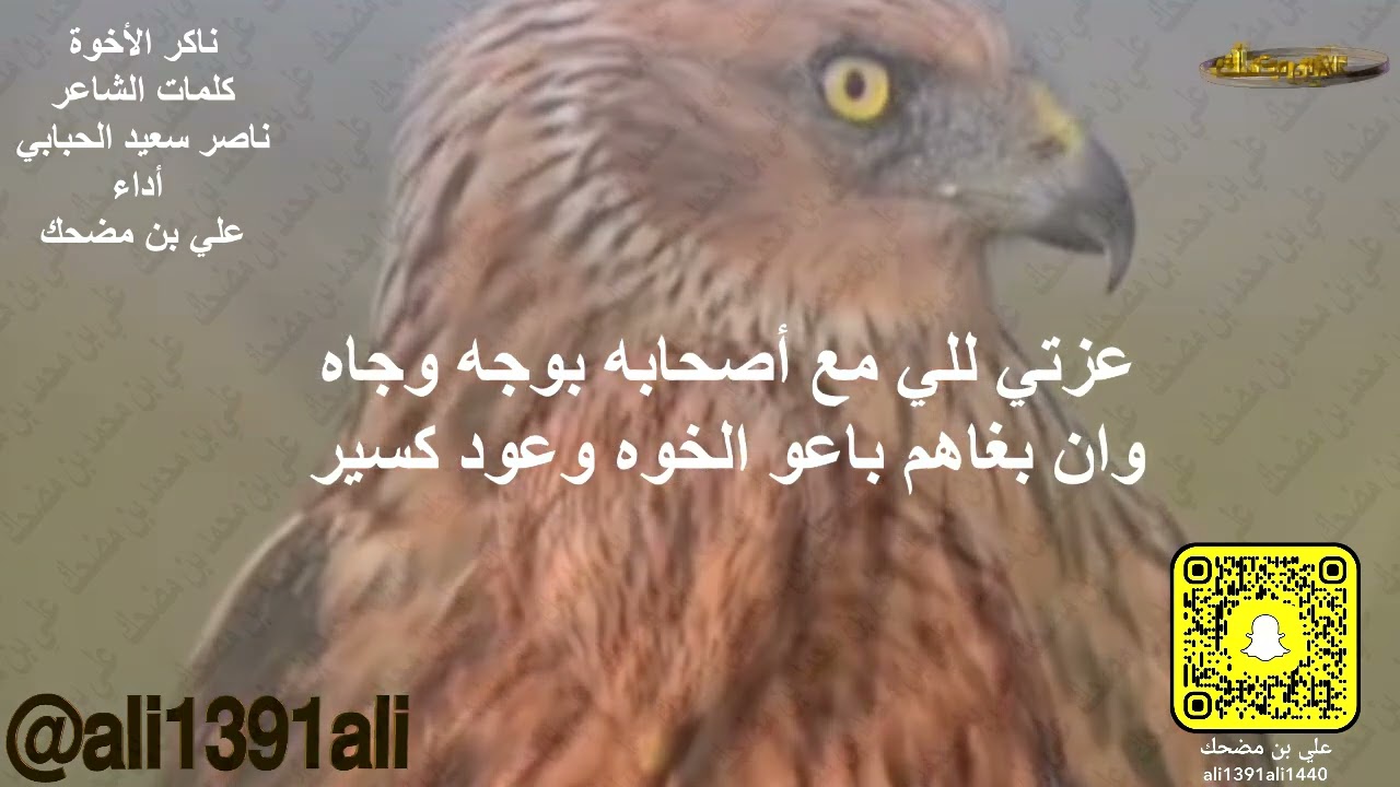 ناكر الجميل كلمات - الشاعر/ ناصر بن سعيد الحبابي - أداء/ علي بن مضحك