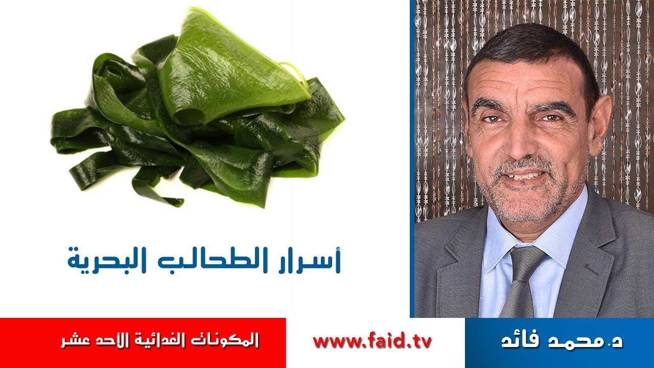 أسرار الطحالب البحرية | الدكتور محمد فائد