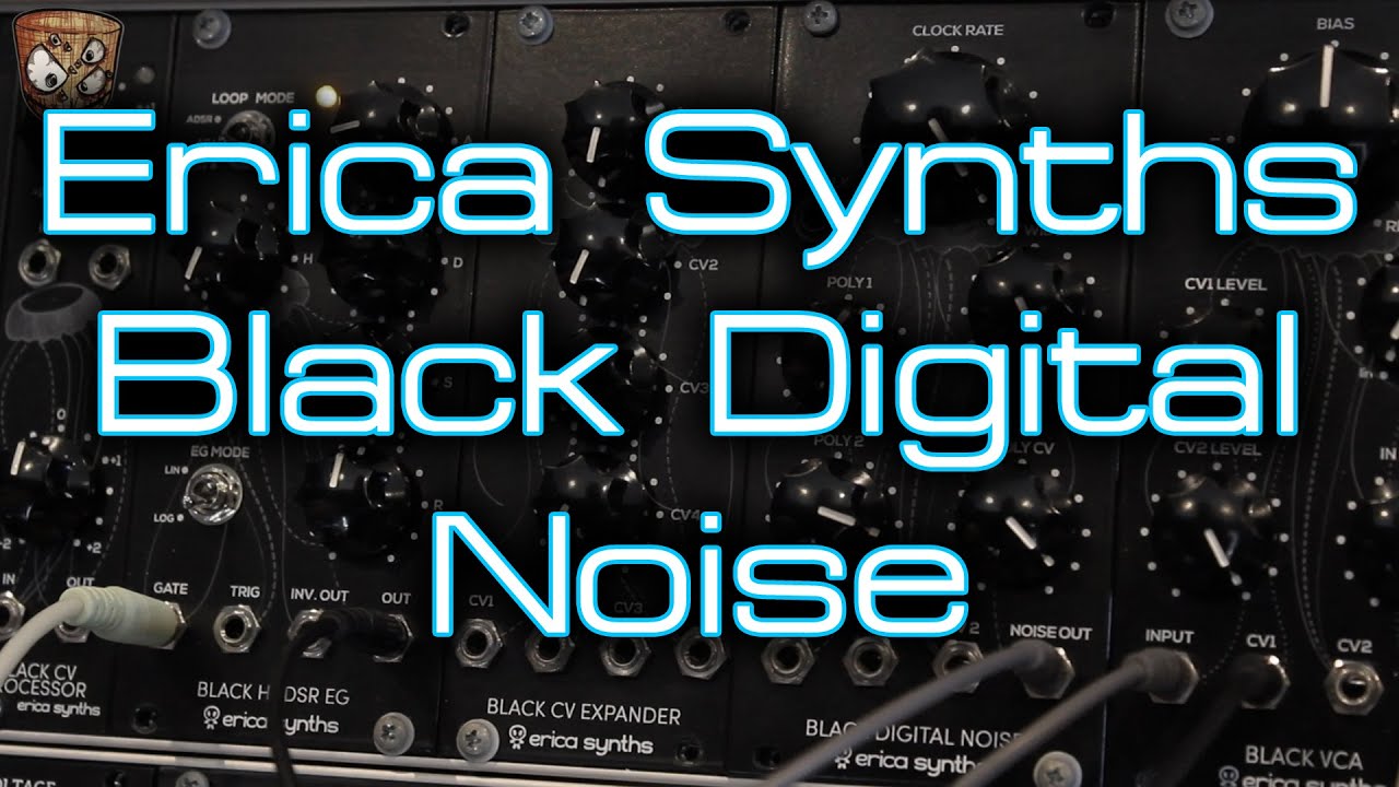Erica Synths - Black Digital Noise