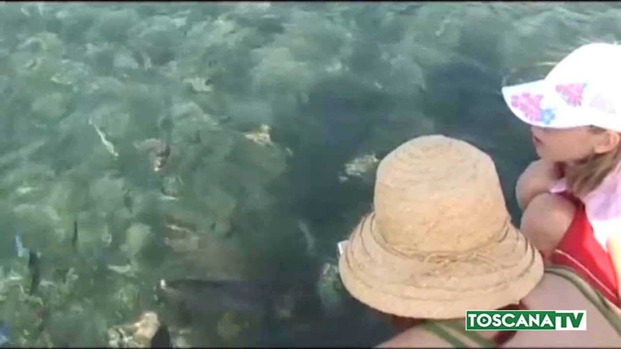 2019-07-13 TOSCANA - CONSIGLI E BUONE PRATICHE PER CHI VA IN VACANZA