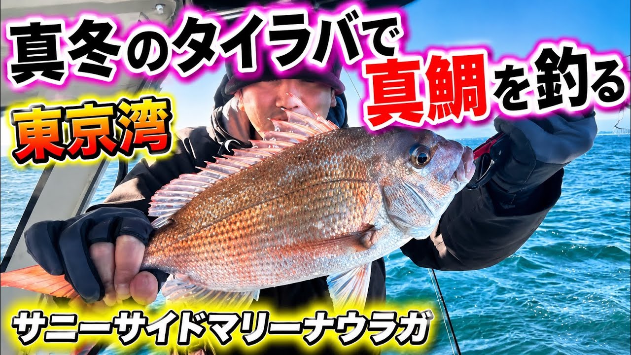【東京湾】レンタルボートでタイラバ🐟この色で釣れる