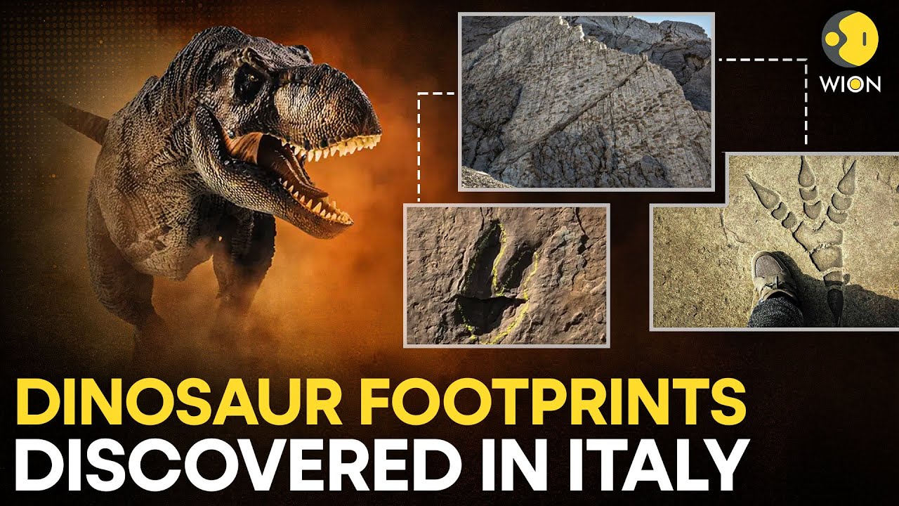 Dinosaur Tracks Found:  210-Million-Year-Old Dinosaur Footprints Discovered In Italy | Originals