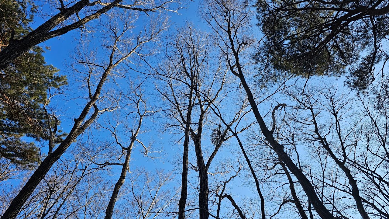 지리산 자락 600 고지 산골의 겨울나기