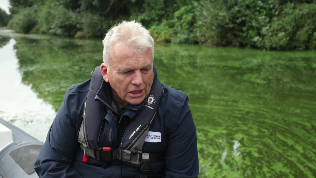 Blue-green algae returns to Lough Neagh