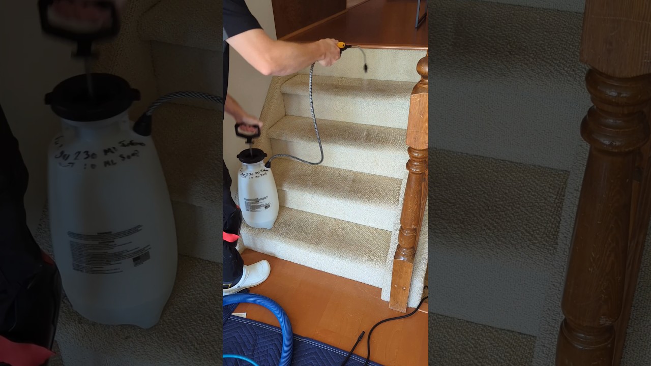 Steam Cleaning Carpeted Stairs