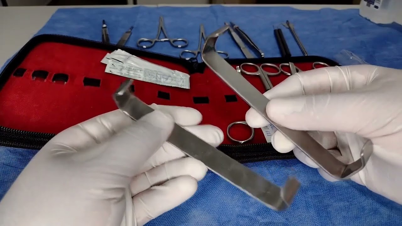 Kit de disección básico | Cómo se llama cada instrumento 💉🤓📝