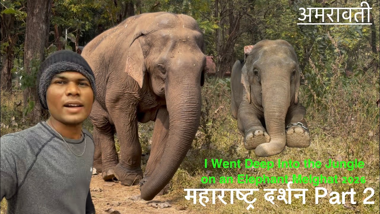 Kolkas Elephant safari 