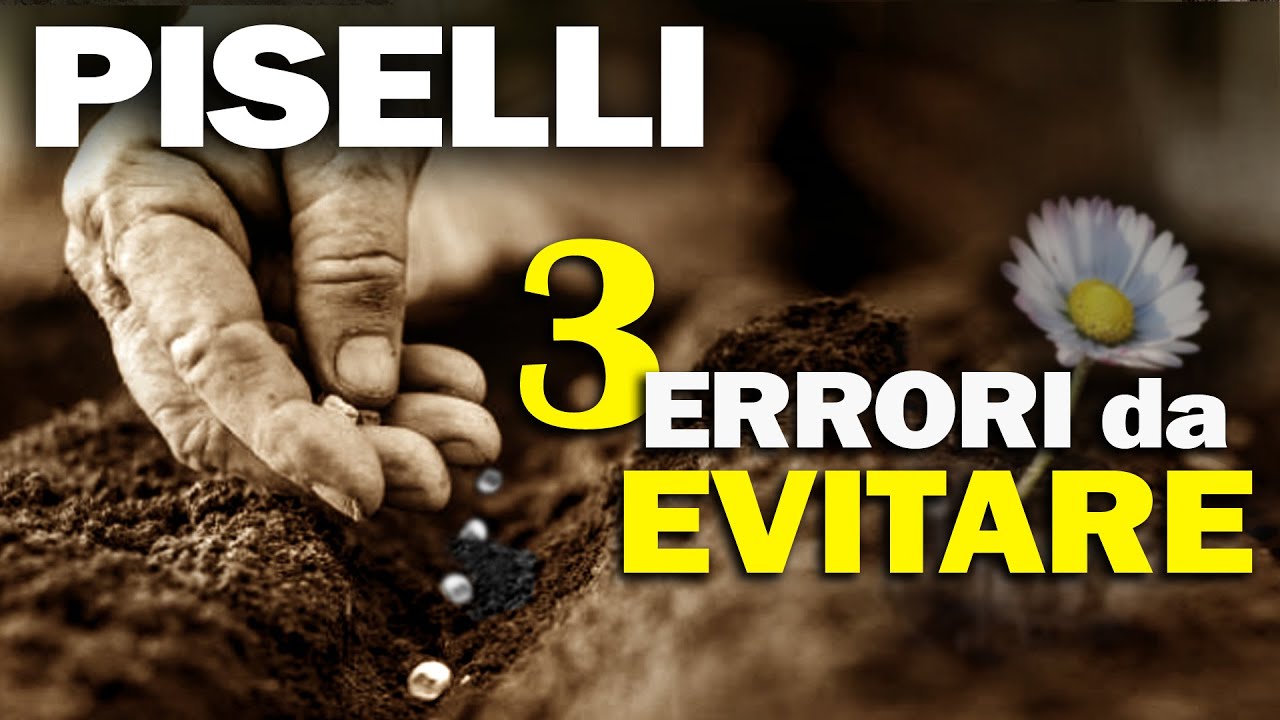 SEMINARE PISELLI | 3 ERRORI da EVITARE