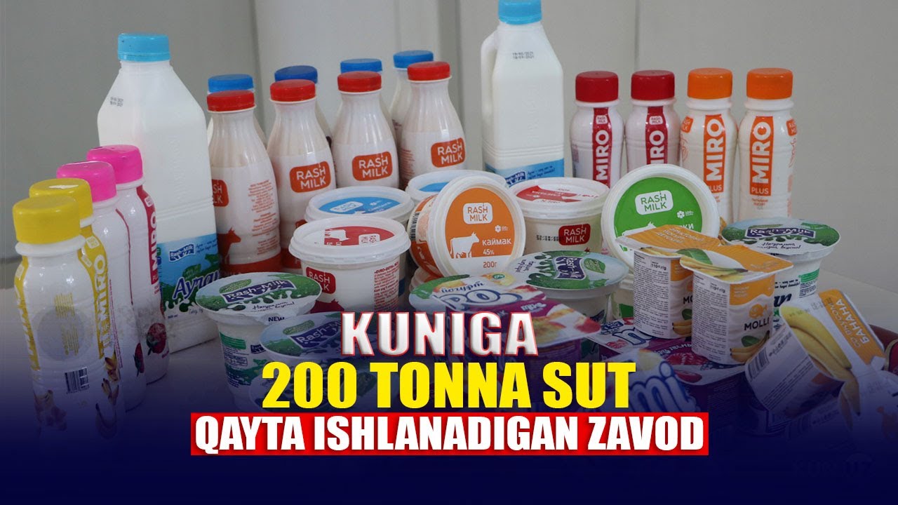O'sha mashhur «Rash-Milk» haqida