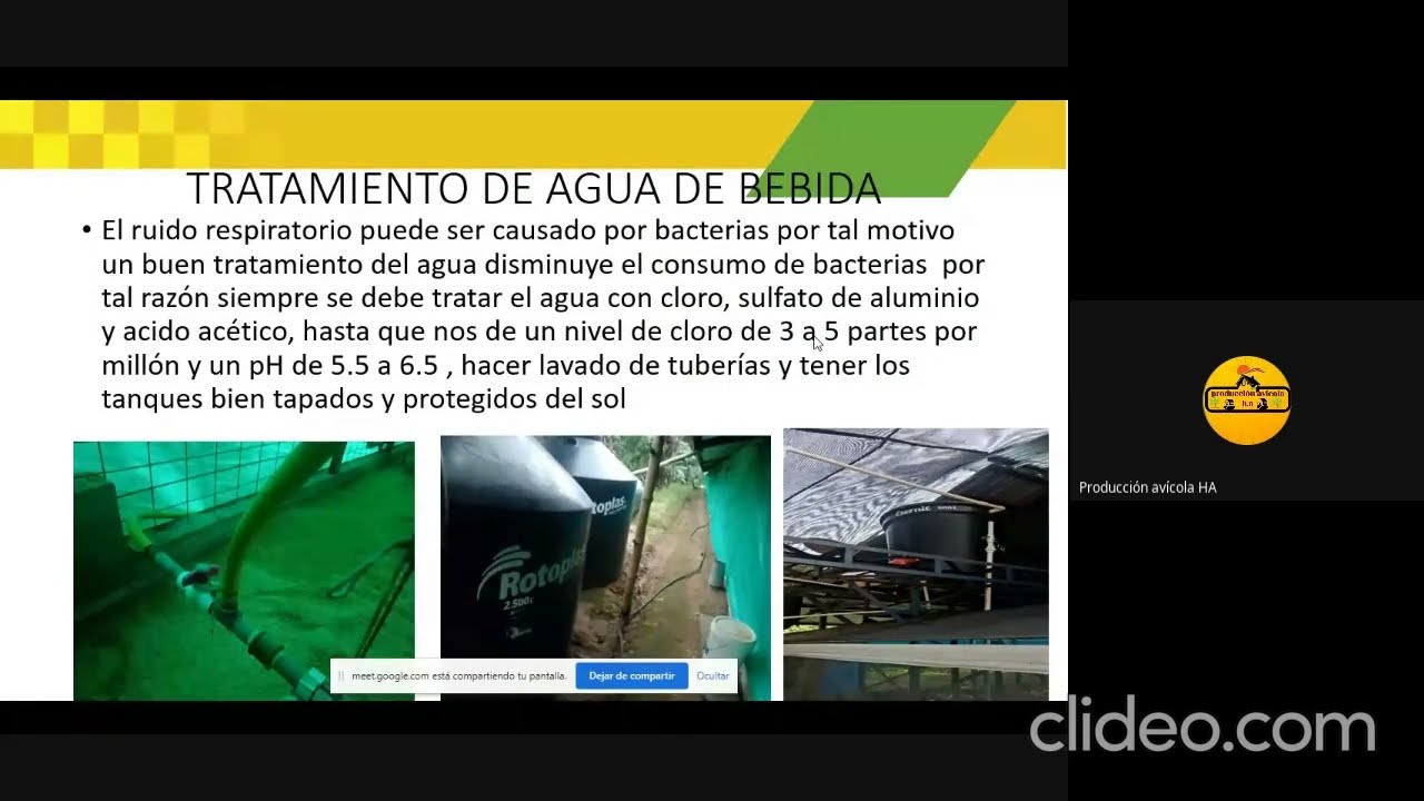 CONFERENCIA RUIDO RESPIRATORIO EN AVES