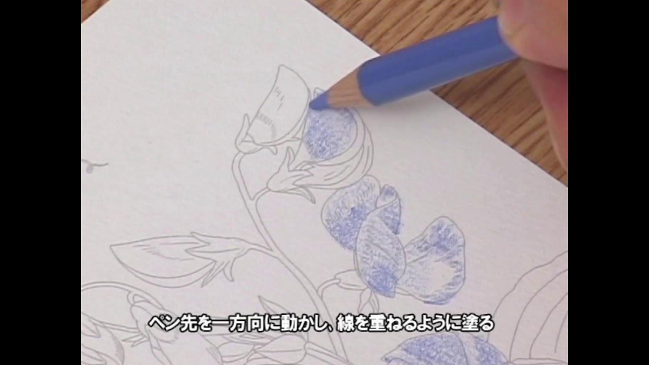 はじめてでも上手にできる「大人の塗り絵」の塗り方 2/6