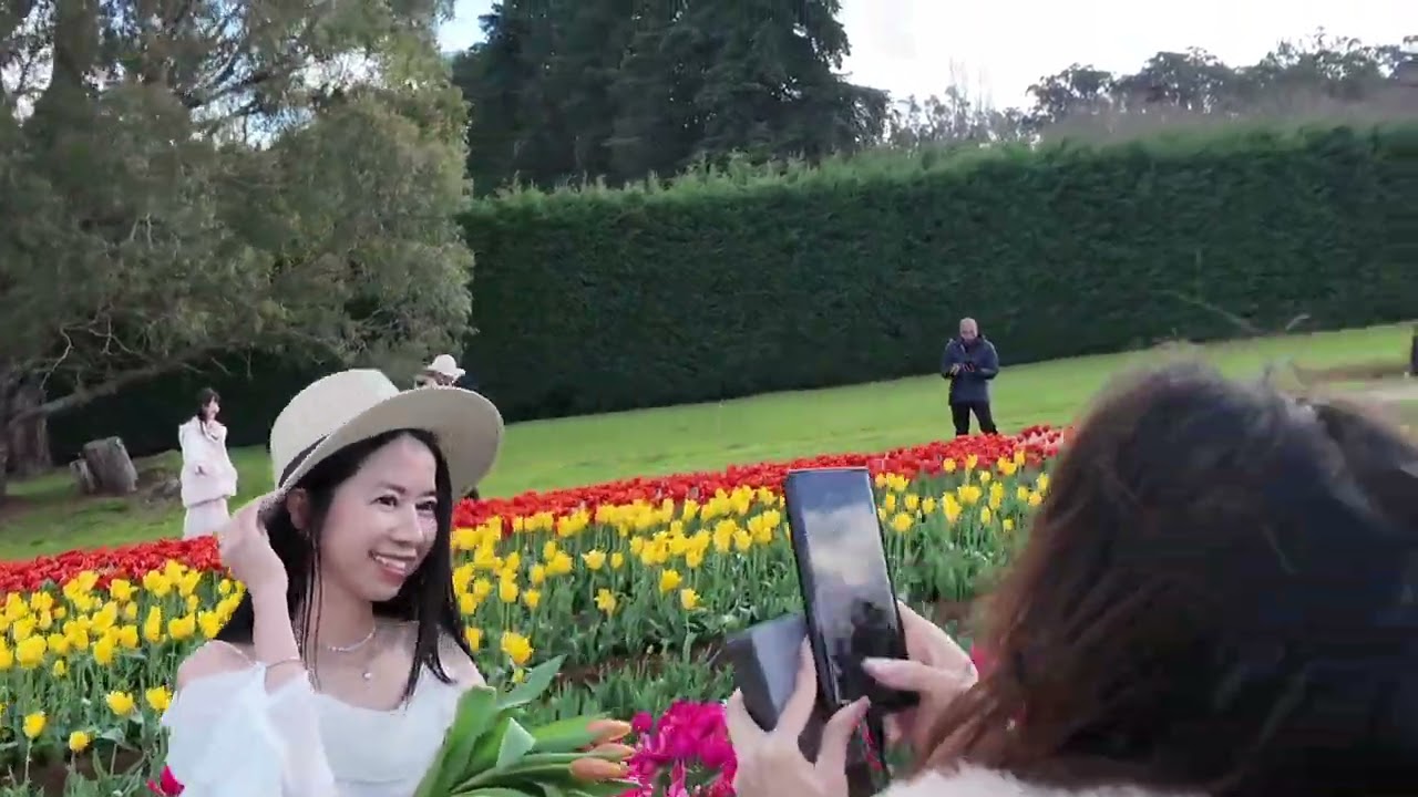 Tesselaar Tulip Festival