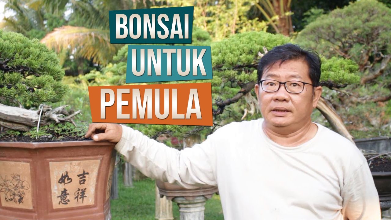 Bincang Bonsai Bersama Pak Rudi Julianto - Bonsai Untuk Pemula