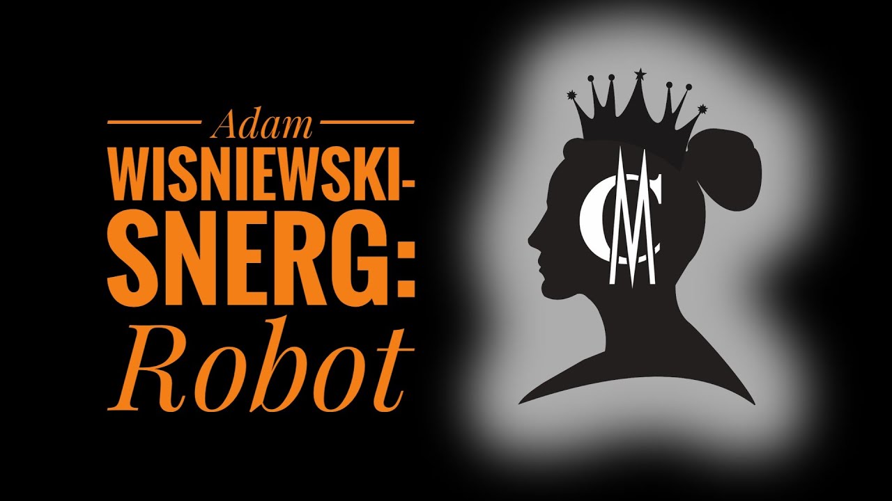 Adam Wiśniewski-Snerg: Robot