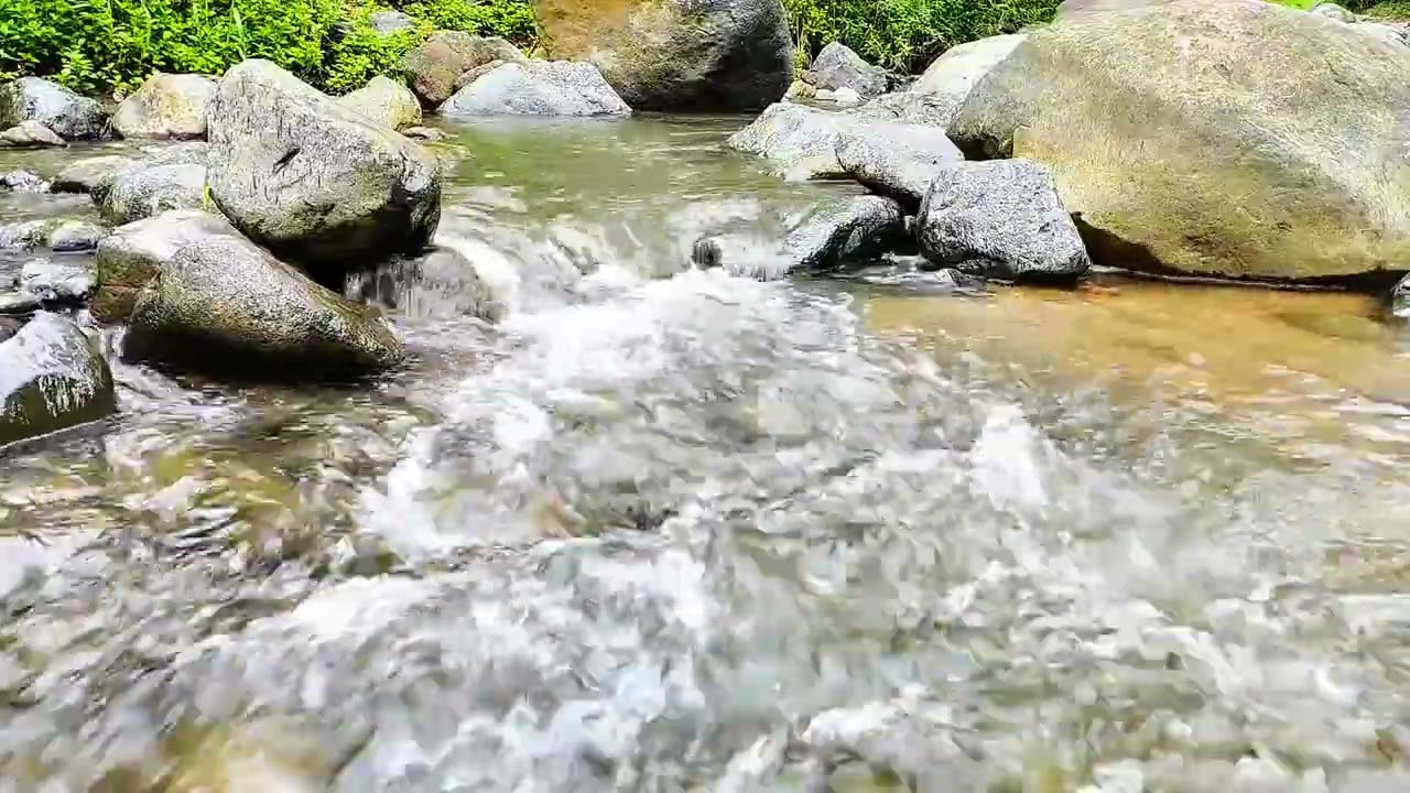 Relaxing River Sounds Stress Relief -Relaxing Water Sounds Refresh Mind#youtube Gentle Stream Sounds