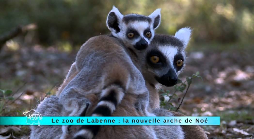 Zoo de Labenne : la nouvelle arche de Noé !