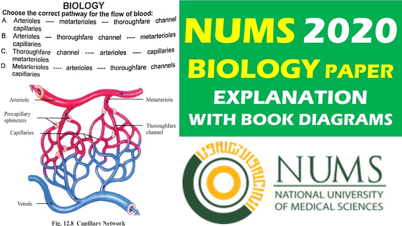 NUMS BIOLOGY 2020 | NUMS PAST PAPERS | NUMS BIOLOGY | FULL PAPER EXPLAINED WITH BOOK REFERENCES
