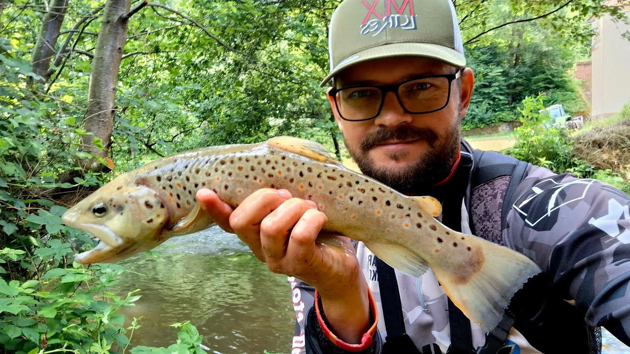 Unterwegs am kleinen Bach/ Viele Fänge/ Bonus Fische/ mit pelziger Überraschung!!!/ kein TroutArea