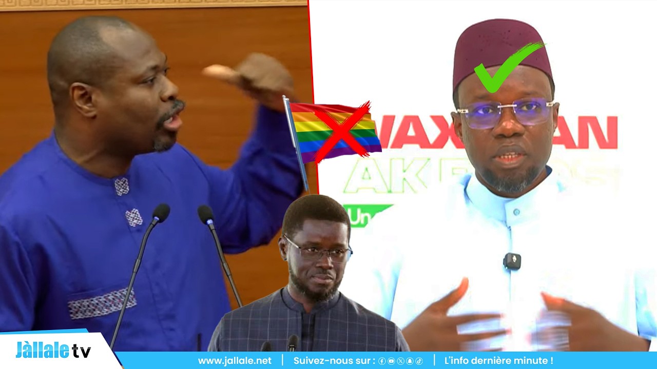 «Bénn chef rekk mo am, mooy Sonko…» Guy Marius Sagna fait vibrer l’Assemblée avec un discours musclé