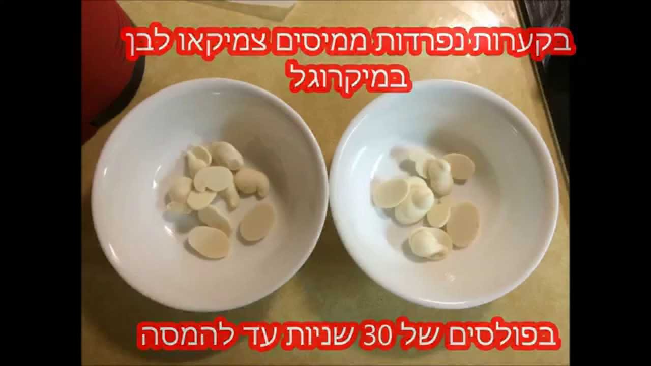 הכנת דמות משוקולד, העוגות של יובל