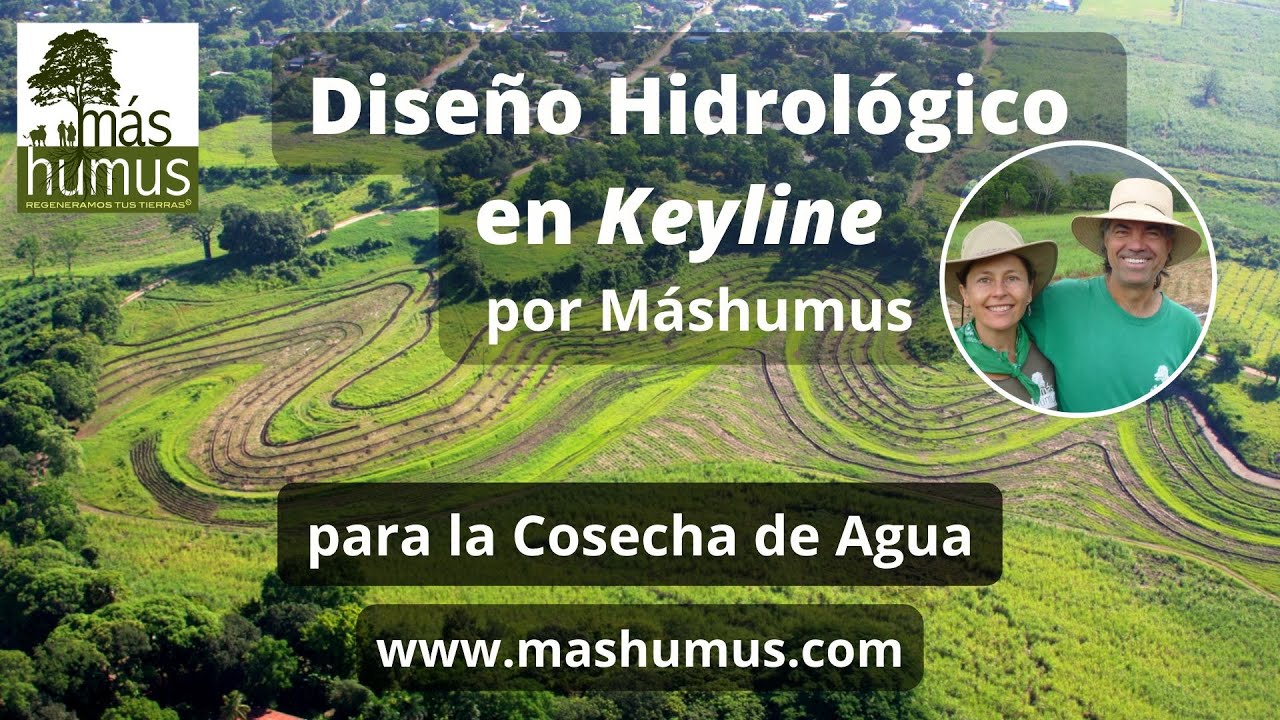 Keyline o Linea Clave para la Cosecha de Agua con Máshumus. info@mashumus.com