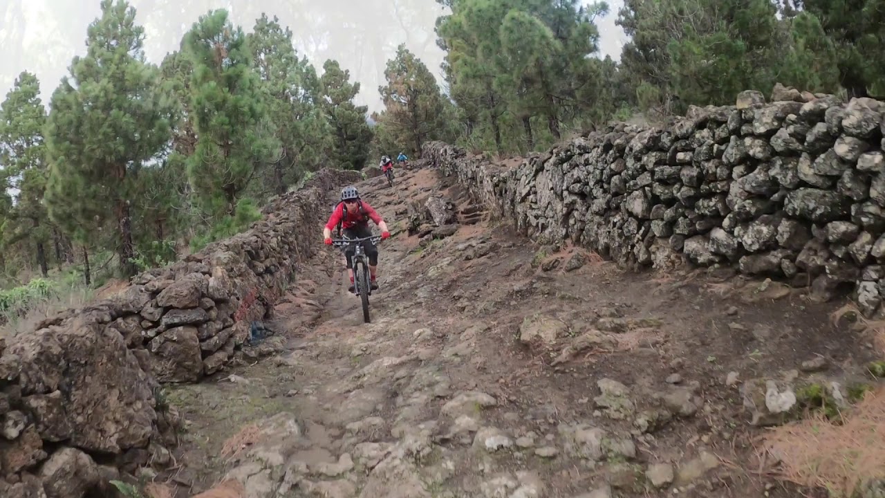 Regenwaldtrails, Flow, Spa&szlig;, Roque, Episch alles und noch mehr mit MountainRide La Palma