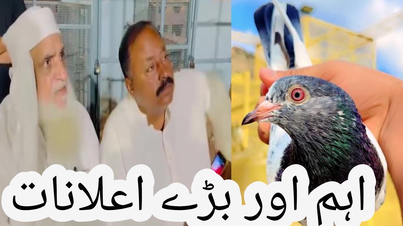 Ustad Haji Mehr Asghar Lahore parwazi pigeons
