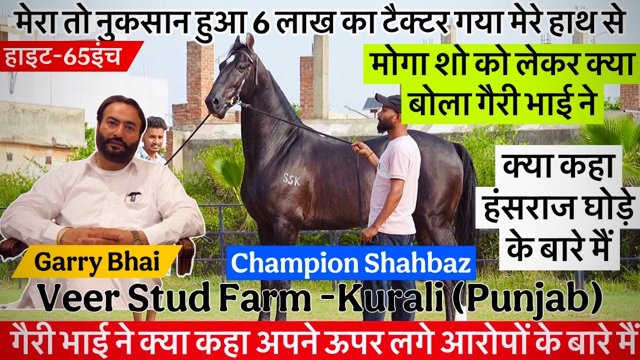 चैंपियन घोड़ा Shahbaz क्या कहा मोगा शो मैं लगे आरोपों के बारे मैं गैरी भाई ने !
