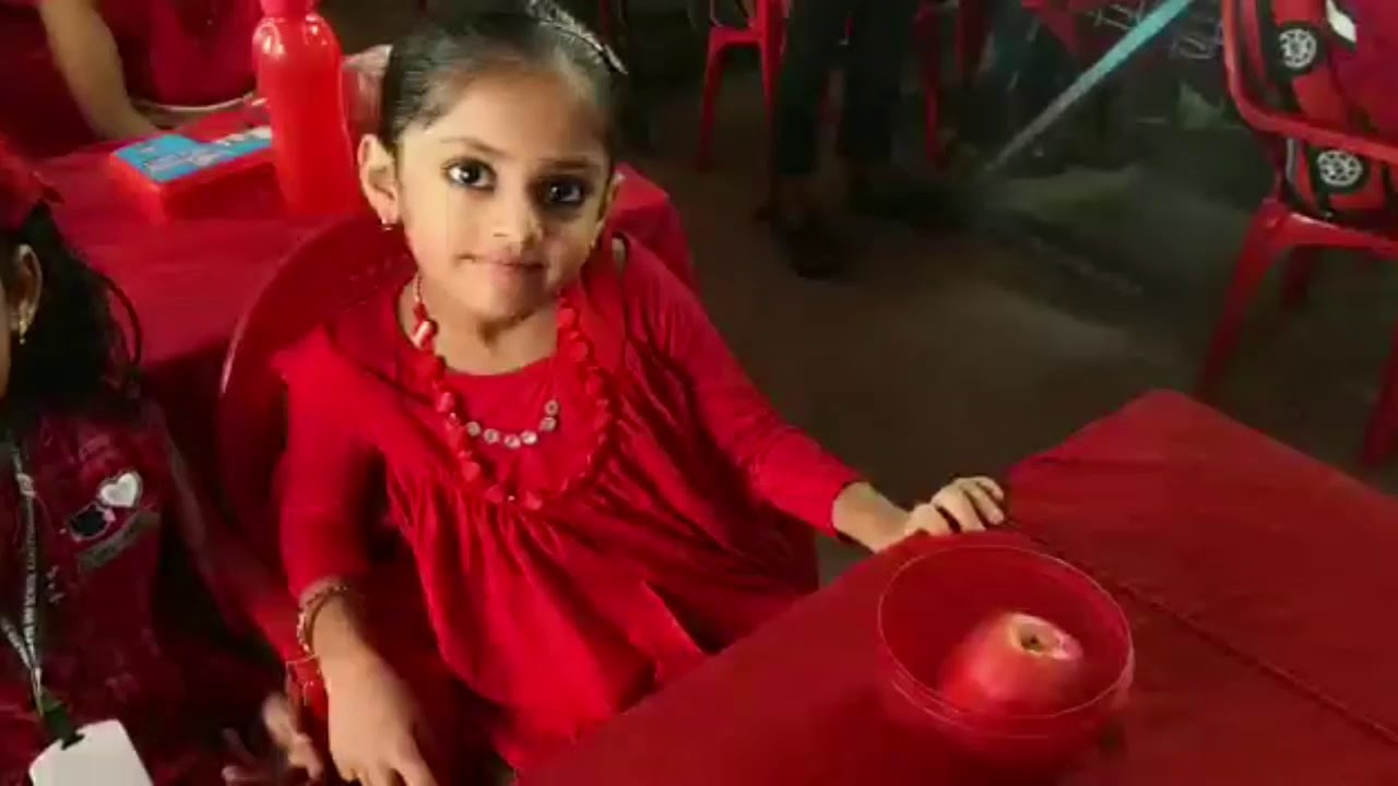 PMSA PTS VHSS KAIKKOTTUKADAVU (KG SECTION) COLOR'S DAY