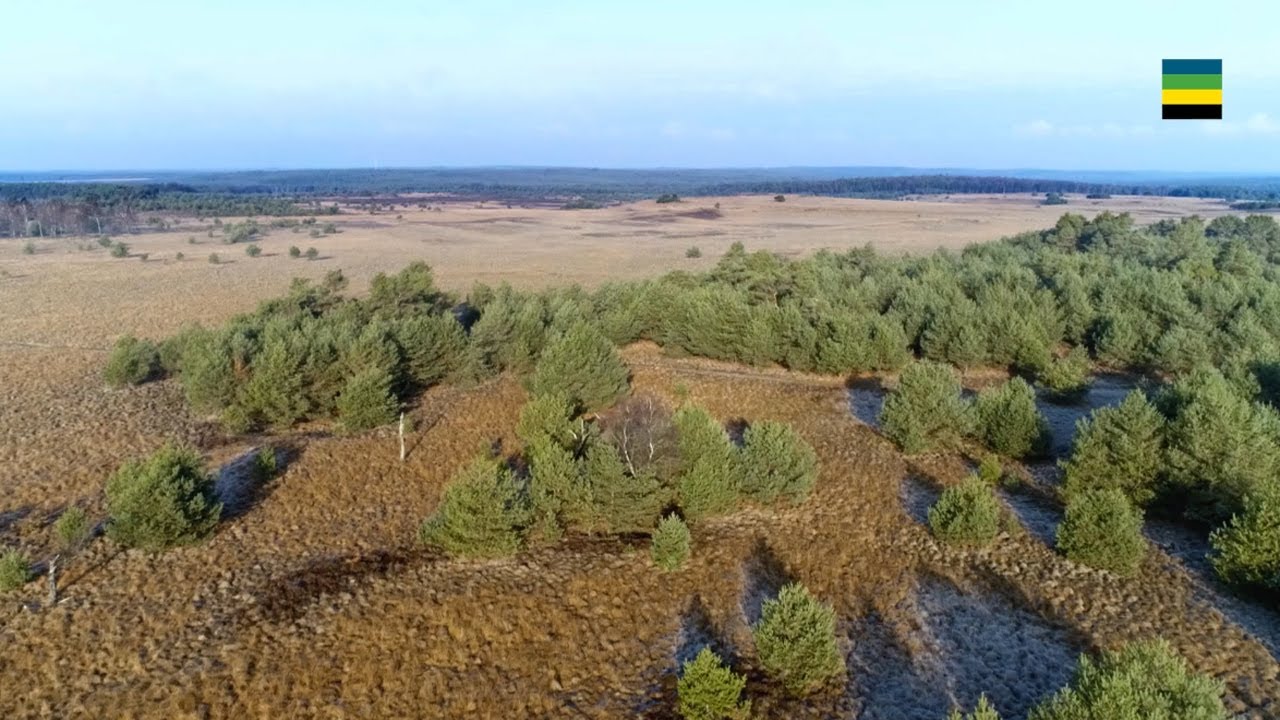 Film recreatiezonering Veluwe