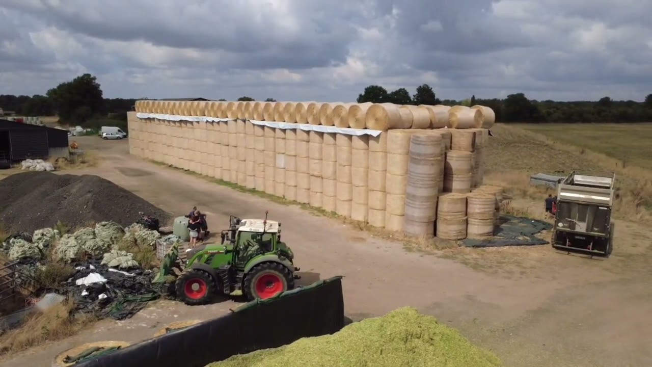 Ensilage de maïs 2025  en souffrance 🌽 | 35 ha ensilés en 1,5 jour ! 💨