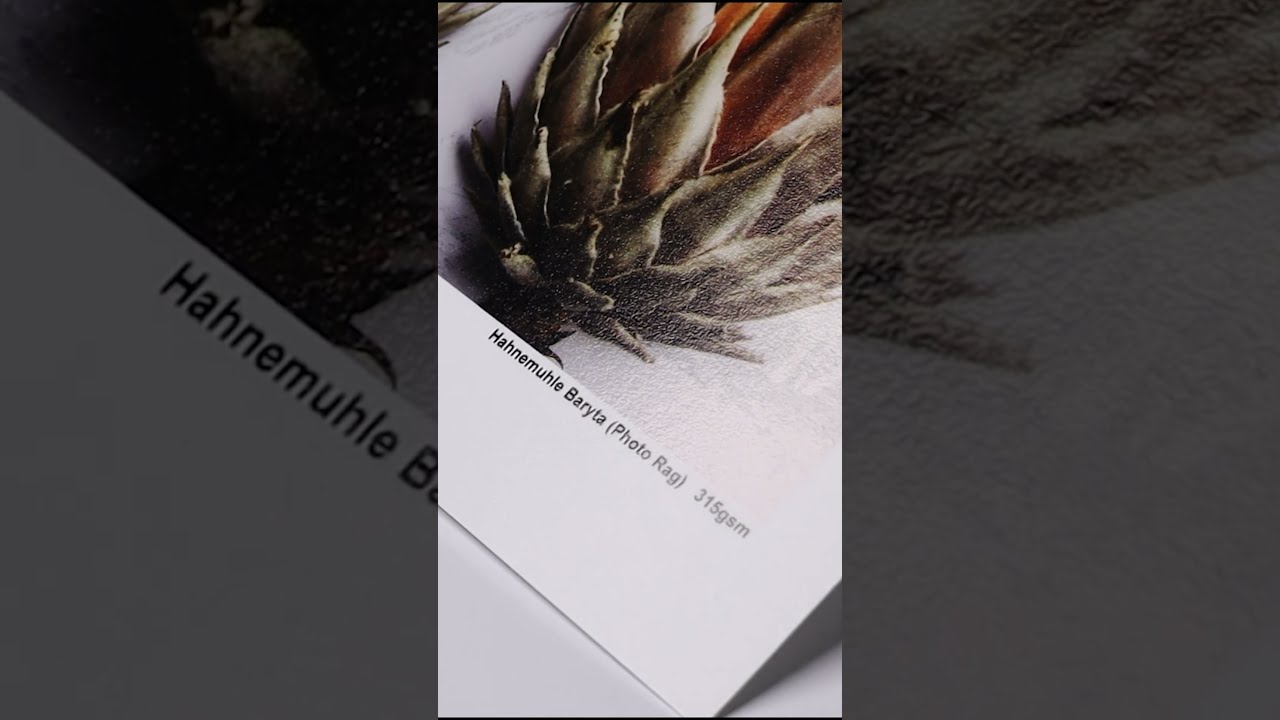 Fine Art Paper 