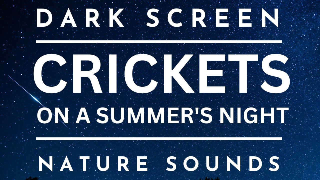 Night Symphony: Crickets On A Summer's Night | Black Screen
