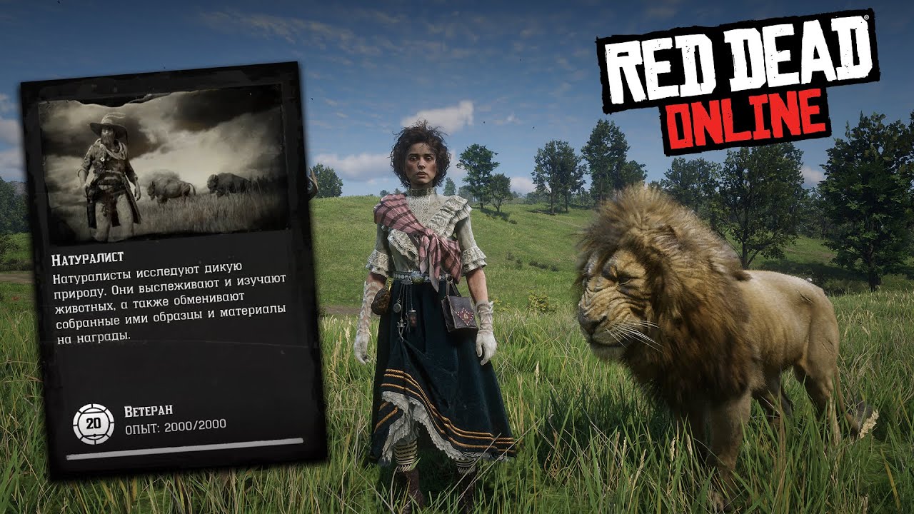 Как ПРОКАЧАТЬ уровень роли НАТУРАЛИСТ в Red Dead Online! Как прокачать роль натуралиста в RDO!