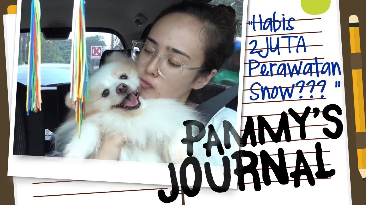 Nemenin Si Ganteng Snow Vaksin & Perawatan Ke Dokter 🐶